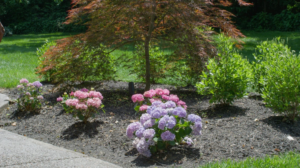 Timeless Elegance, Fresh Landscaping | Nashville, TN by Gardens Of Babylon Landscapes - Photo 7
