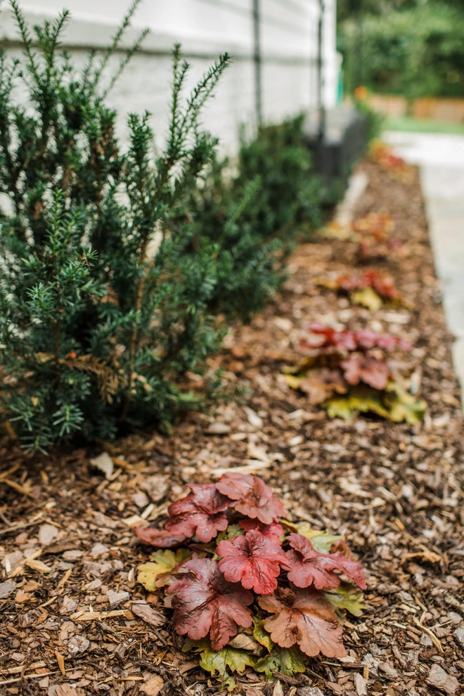 Colonial Traditional Landscaping | Nashville, TN by Gardens Of Babylon Landscapes - Photo 18