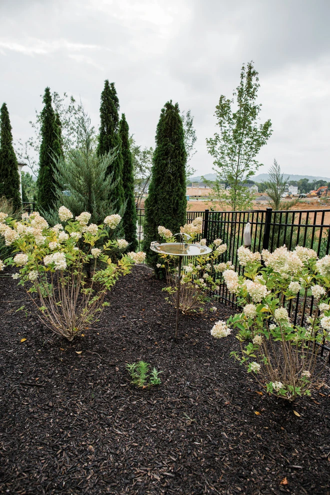Elevation Challenges & Pool Landscaping | Franklin, TN by Gardens Of Babylon Landscapes - Photo 6