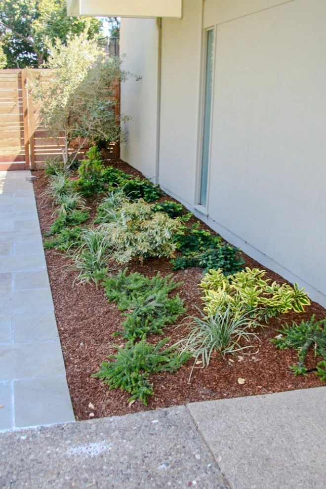 San Rafael Eichler Oasis by Gary Torney Landscaping Co. - Photo 9