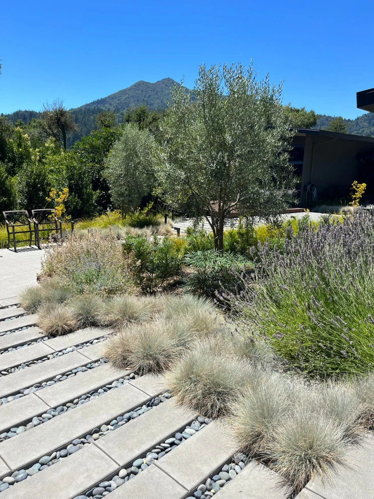 Kent Woodlands Contemporary Estate by Gary Torney Landscaping Co. - Photo 2