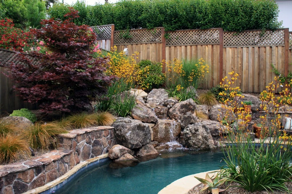 Healdsburg Backyard Pool by Geared For Growing Landscape Services - Photo 3