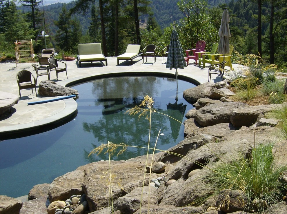 Mill Creek Retreat by Geared For Growing Landscape Services - Photo 6