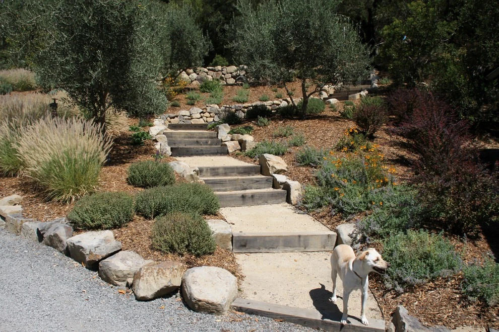 A Creek Runs Through It by Geared For Growing Landscape Services - Photo 15
