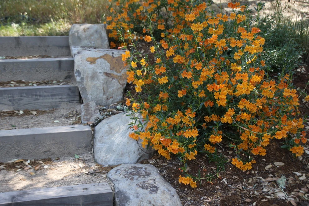 A Creek Runs Through It by Geared For Growing Landscape Services - Photo 5