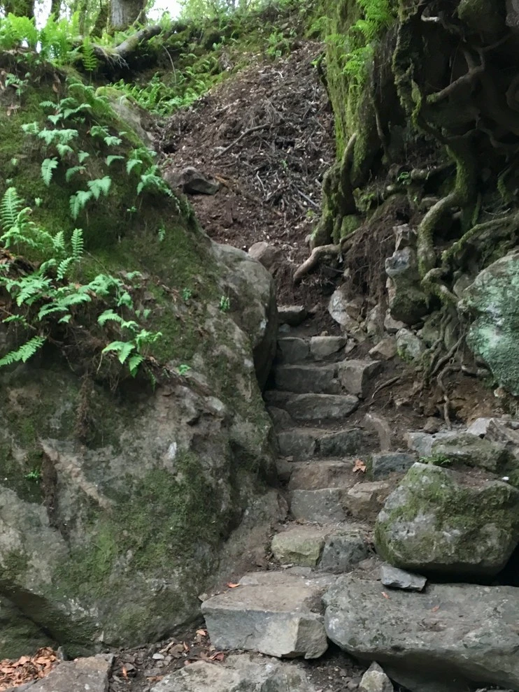 A Creek Runs Through It by Geared For Growing Landscape Services - Photo 2