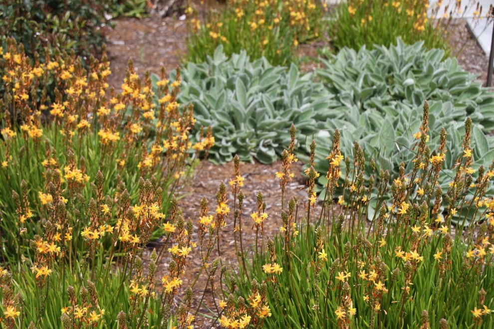 A Creek Runs Through It by Geared For Growing Landscape Services - Photo 9
