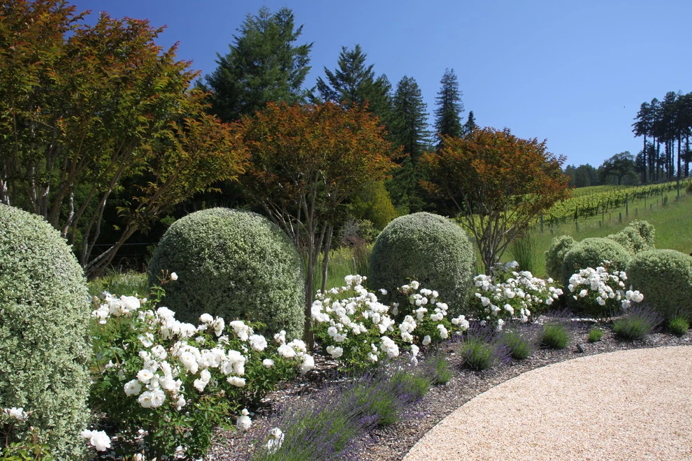 Freestone Estate Planting by Geared For Growing Landscape Services - Photo 4