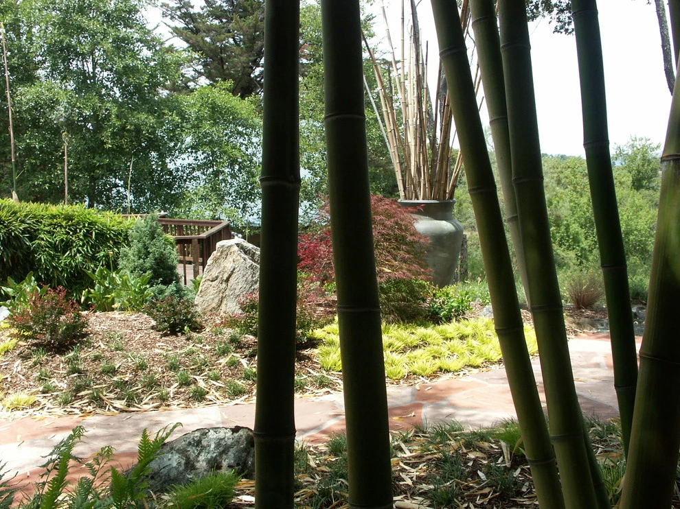 Above the River by Geared For Growing Landscape Services - Photo 4