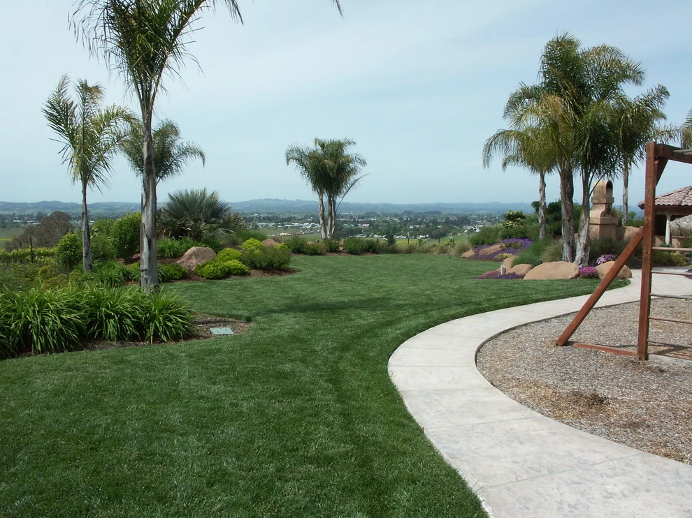 Petaluma Hill Tropical by Geared For Growing Landscape Services - Photo 5