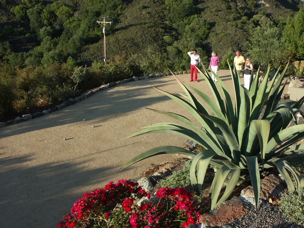 Dry Creek Valley Hillside by Geared For Growing Landscape Services - Photo 5