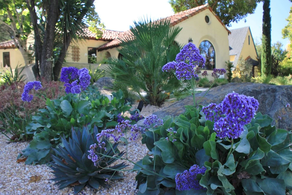 Santa Rosa Mediterranean Courtyard by Geared For Growing Landscape Services - Photo 7