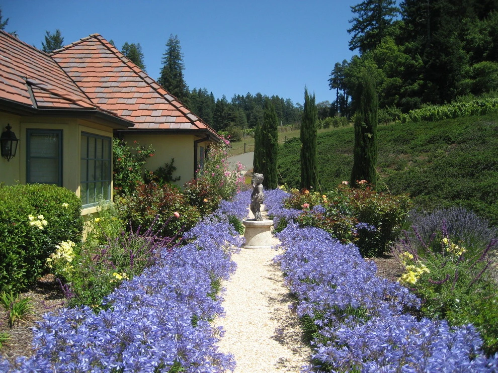 Freestone Estate Planting by Geared For Growing Landscape Services - Photo 2