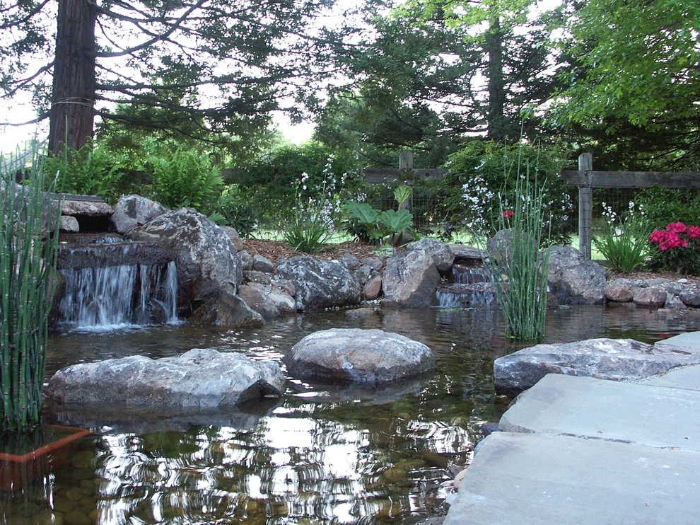 Montecito Meadows Koi Pond by Geared For Growing Landscape Services - Photo 2