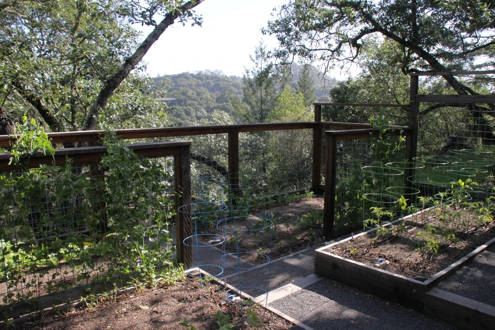 Wikiup Hilltop by Geared For Growing Landscape Services - Photo 4