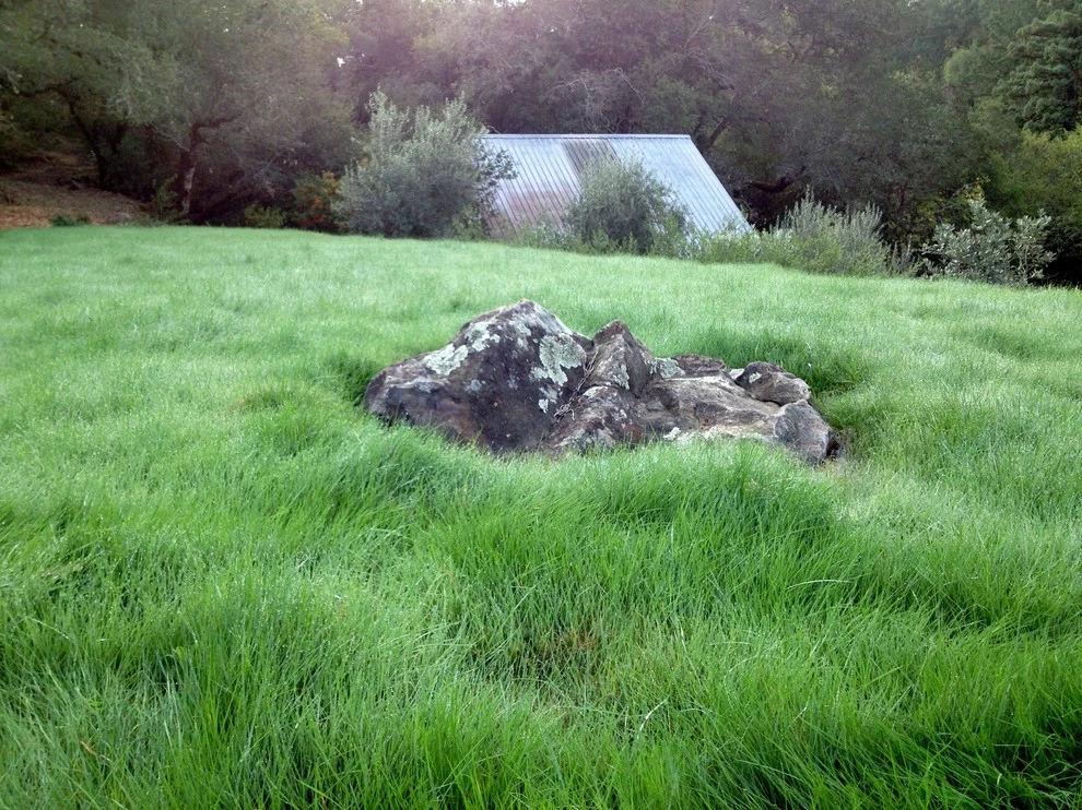 A Creek Runs Through It by Geared For Growing Landscape Services - Photo 13