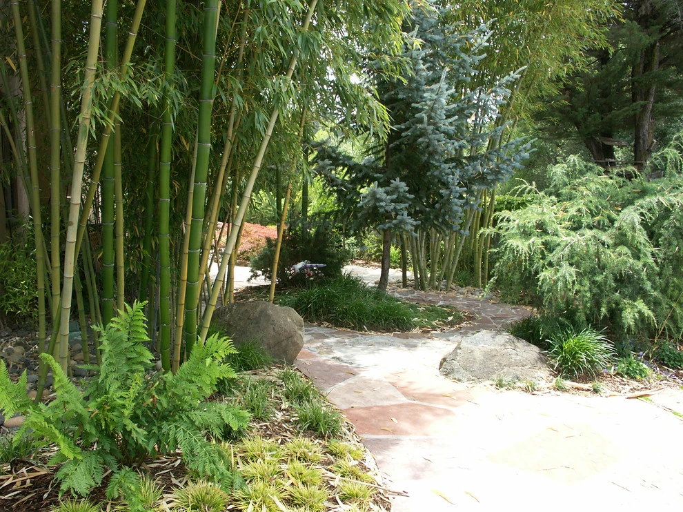 Above the River by Geared For Growing Landscape Services - Photo 2