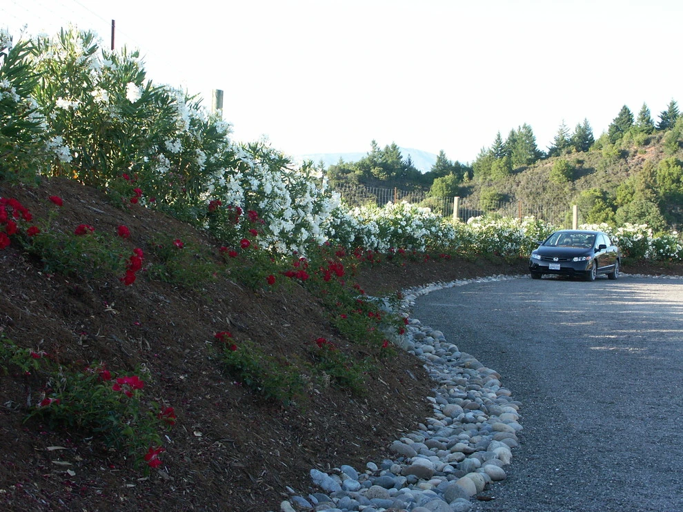 Dry Creek Valley Hillside by Geared For Growing Landscape Services - Photo 2