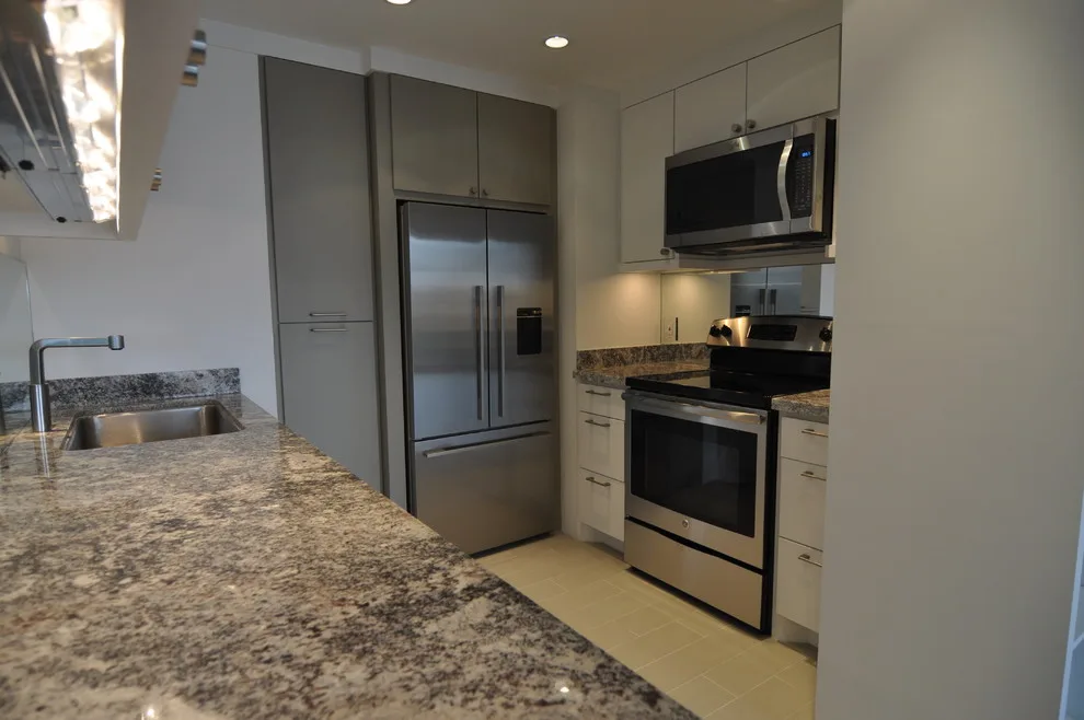 Condominium Renovation in a High-Rise by RD Architecture, LLC - Photo 3