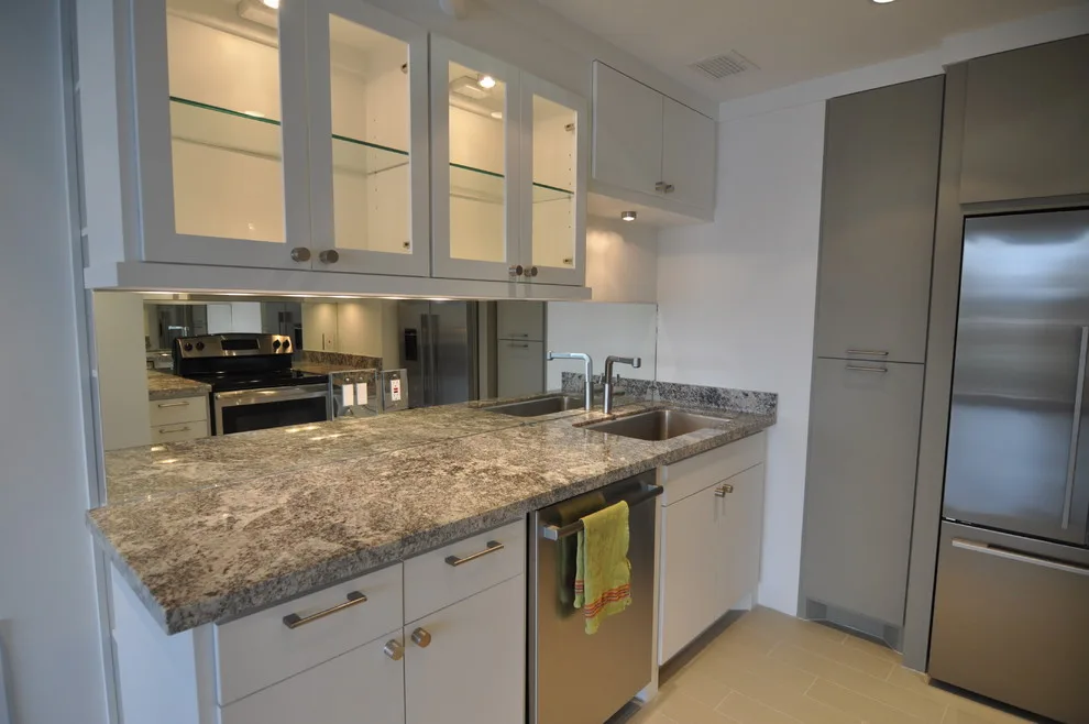Condominium Renovation in a High-Rise by RD Architecture, LLC - Photo 4
