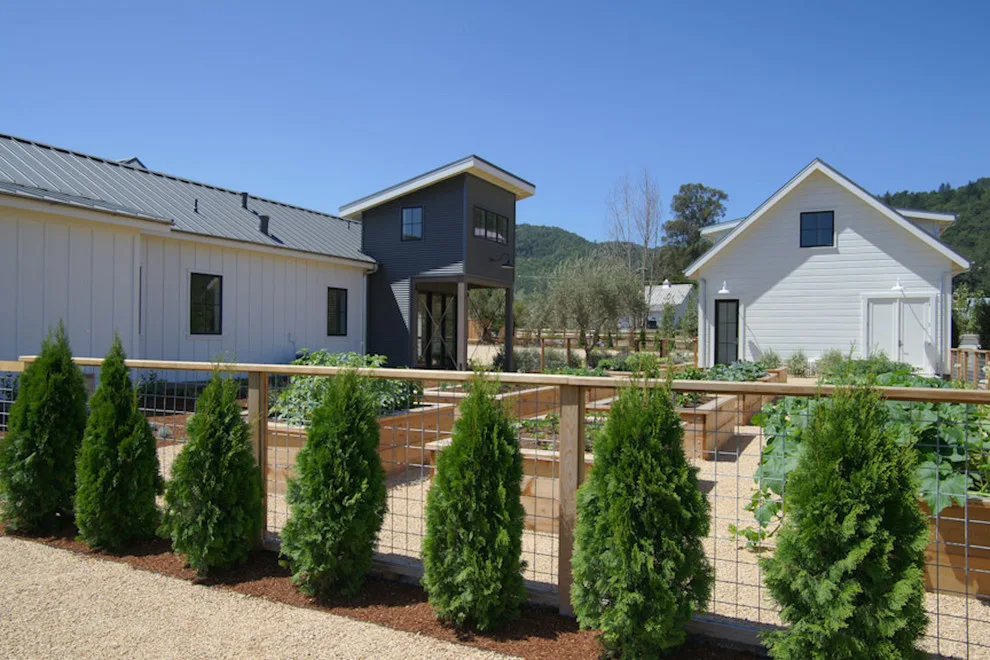 Napa Hoffman Home by Holder Parlette Architecture + Landscapes - Photo 5