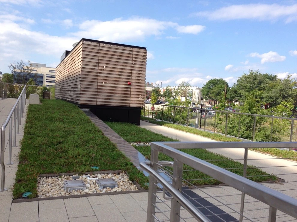 Green Roofs by Green Spaces Landscaping - Photo 2