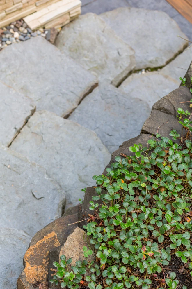 Walkways and Steps by Green Spaces Landscaping - Photo 41