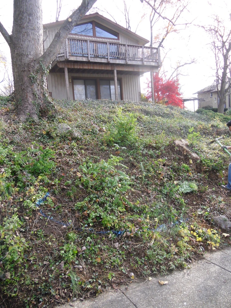 Before & After by Green Spaces Landscaping - Photo 15