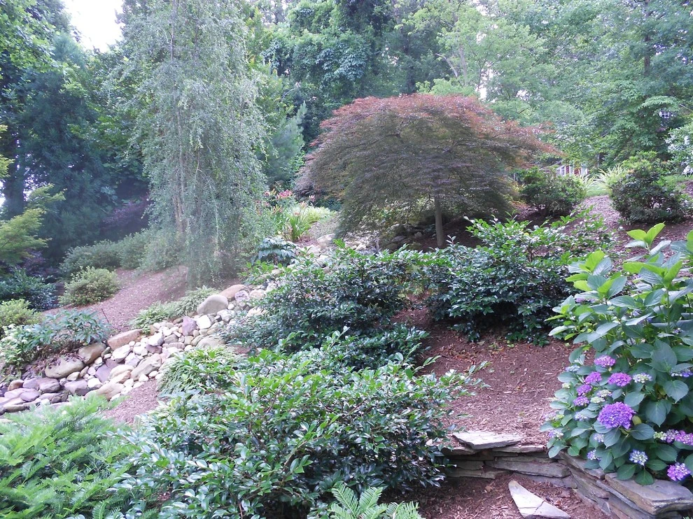 Brier Creek Project 2 by DesignScapes Of North Carolina, Ltd. - Photo 2