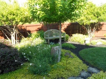 DesignScapes Of North Carolina, Ltd. - Photo 10
