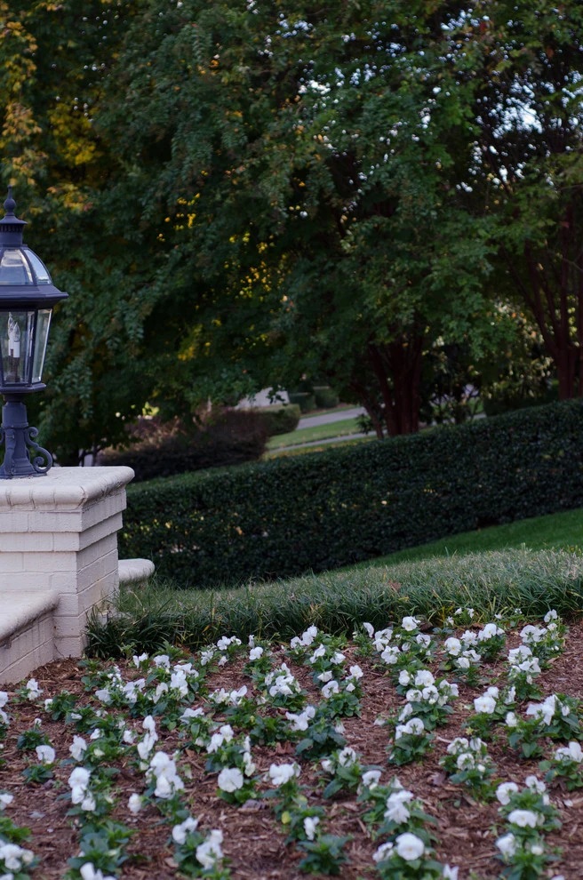 Wakefield by DesignScapes Of North Carolina, Ltd. - Photo 2
