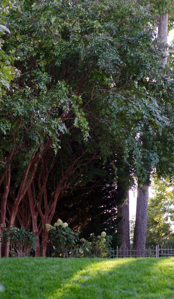 Wakefield by DesignScapes Of North Carolina, Ltd. - Photo 18