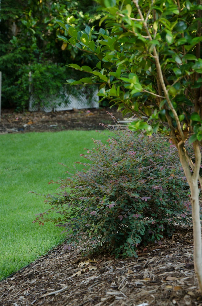 Haymarket Project by DesignScapes Of North Carolina, Ltd. - Photo 17
