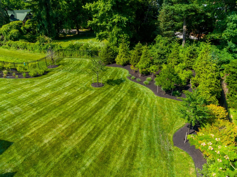 Landscaping by DiSabatino Landscaping And Tree Care - Photo 21