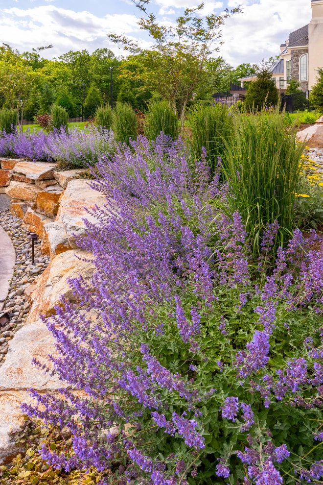 Landscaping by DiSabatino Landscaping And Tree Care - Photo 30