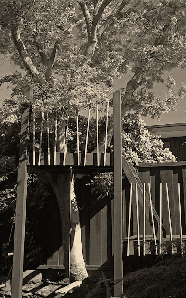 Bennett Binns Architects - Photo 10