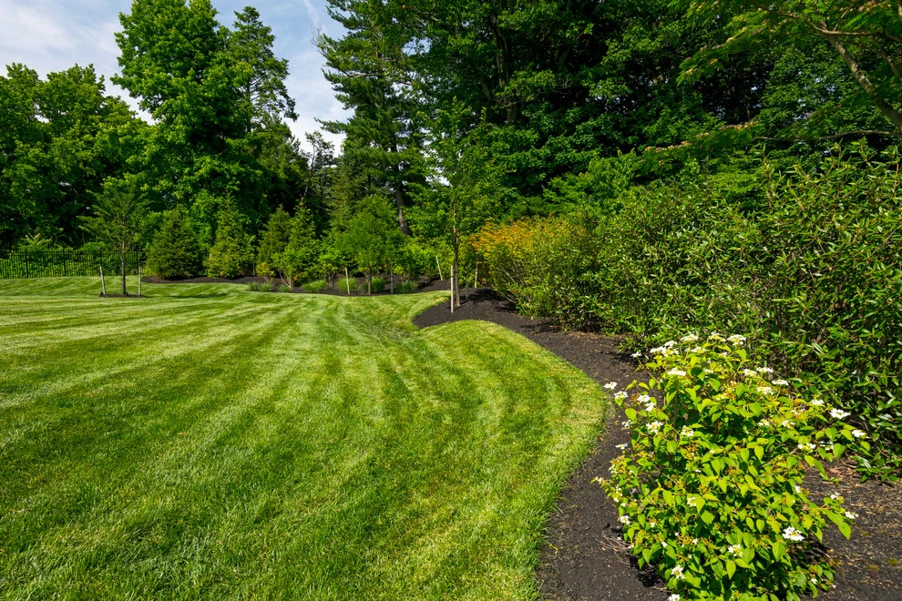 Landscaping by DiSabatino Landscaping And Tree Care - Photo 3