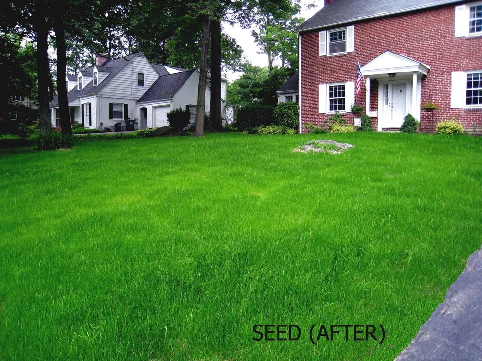 Grading & Drainage by DiSabatino Landscaping And Tree Care - Photo 7