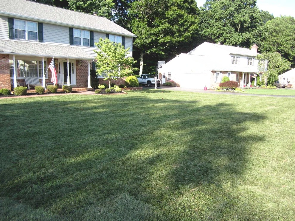 Grading & Drainage by DiSabatino Landscaping And Tree Care - Photo 5