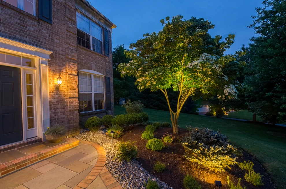Landscape Lighting by DiSabatino Landscaping And Tree Care - Photo 9