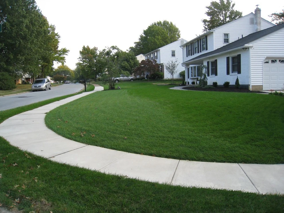 Grading & Drainage by DiSabatino Landscaping And Tree Care - Photo 4