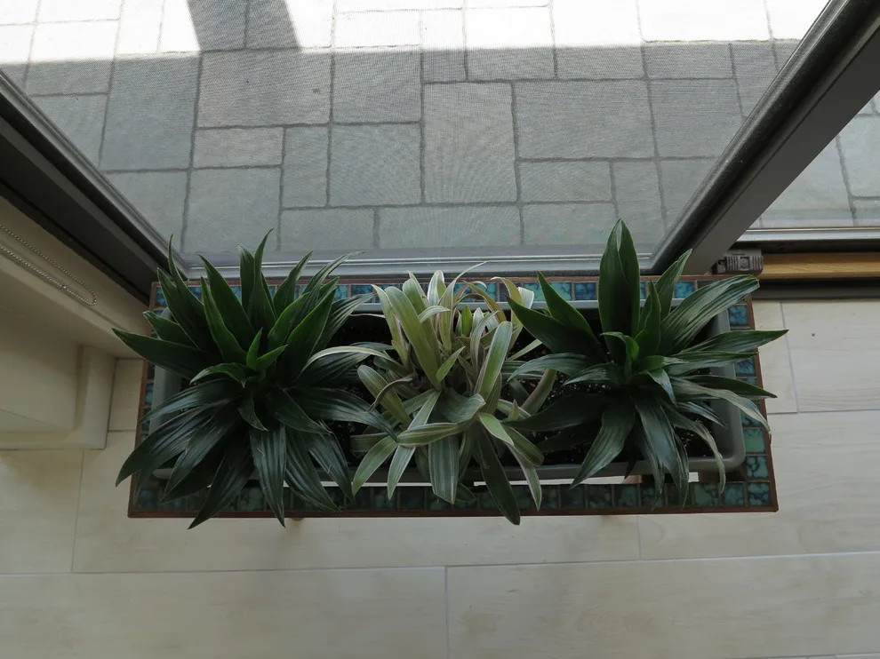 Reimagined Long View by Brewster Thornton Group Architects, LLP - Photo 11