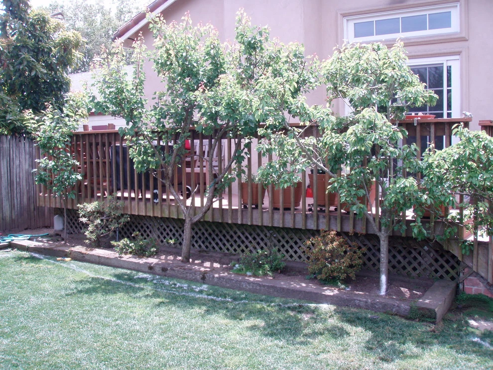 Backyard Transformation, Burlingame by DPG Pavers And Design - Photo 4