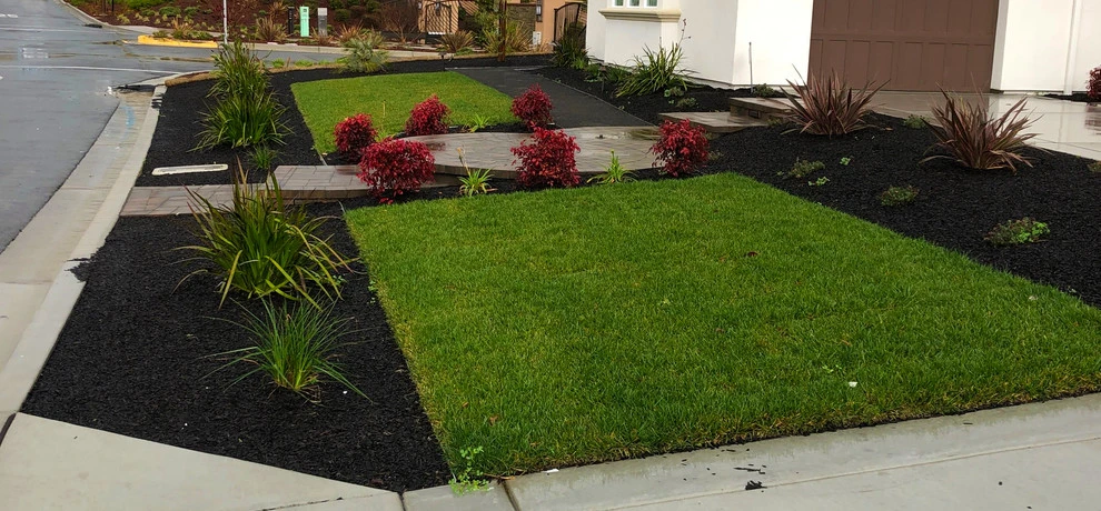 Front Yard, Back Yard, Side Yard Transformation by DPG Pavers And Design - Photo 8