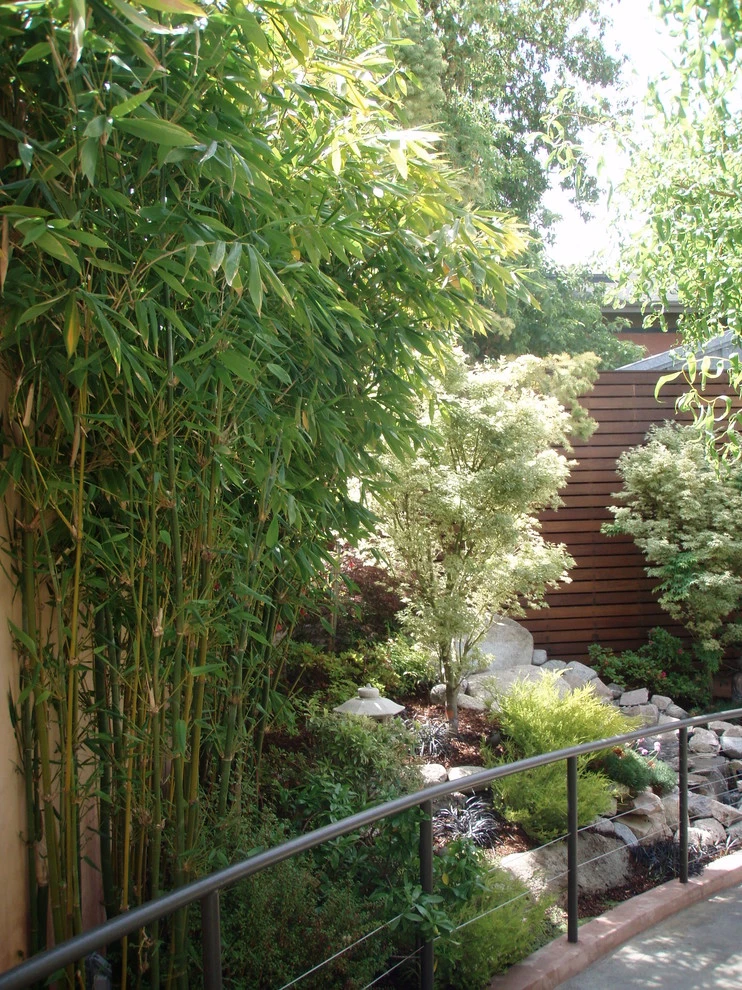 Epicurious Gardens - Berkeley, CA by DPG Pavers And Design - Photo 2