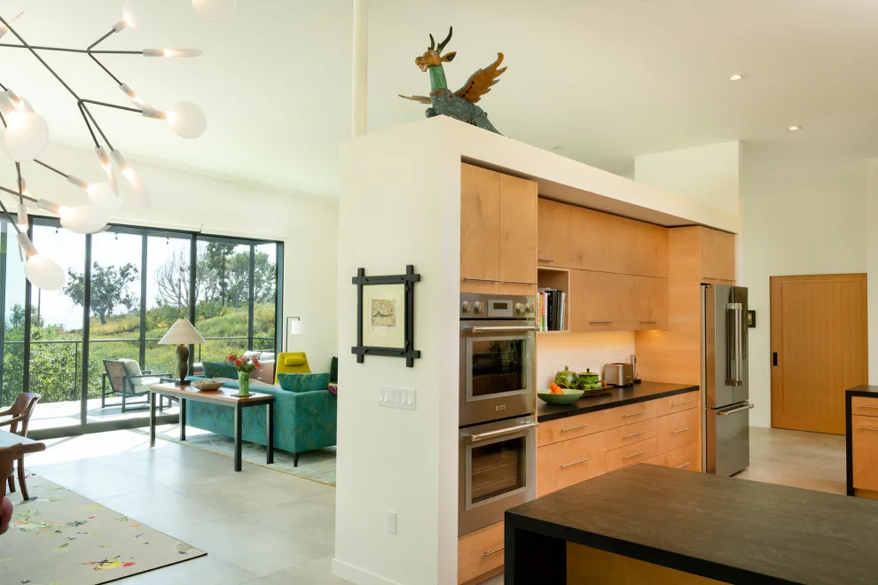 Malibu Project by Ruben S. Ojeda Architects - Photo 4