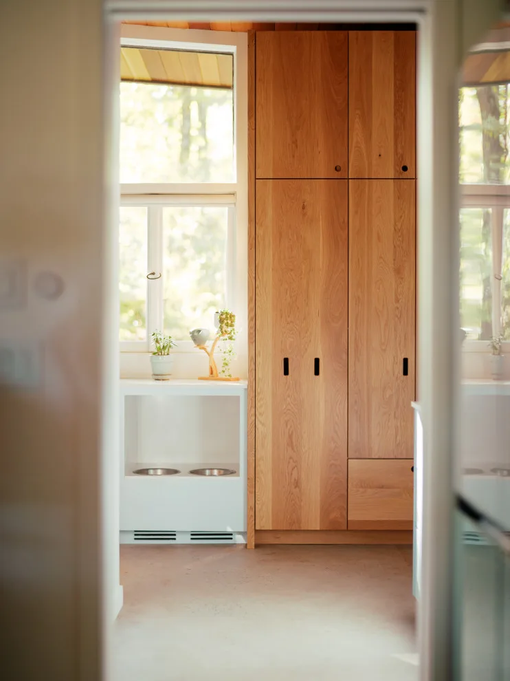 Mid-Century House Restoration by Ario Studio - Photo 39