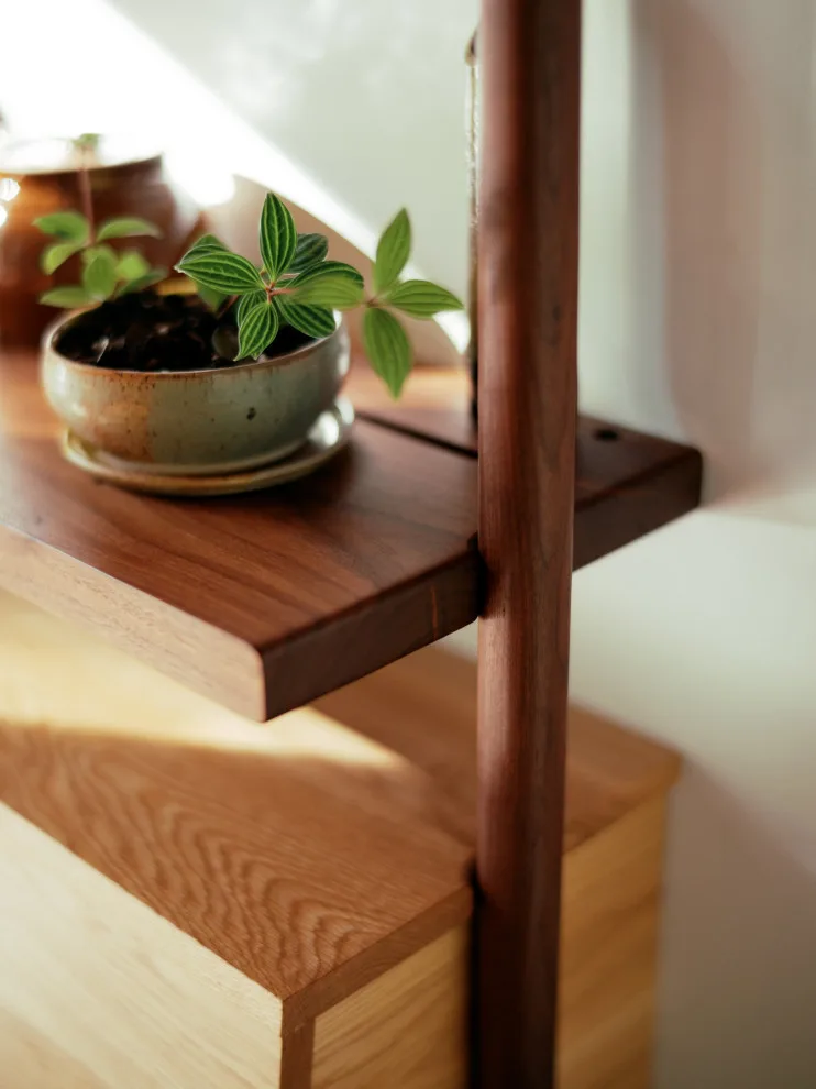 Mid-Century House Restoration by Ario Studio - Photo 7
