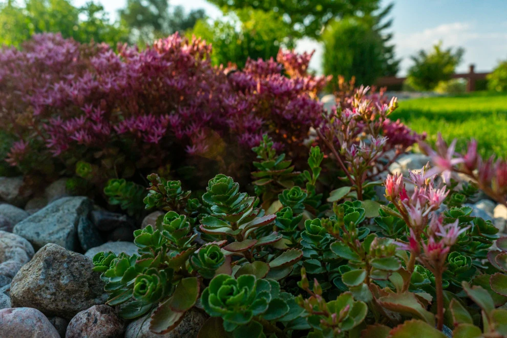MOUNTAIN CANVAS by Duke's Landscape Company - Photo 3
