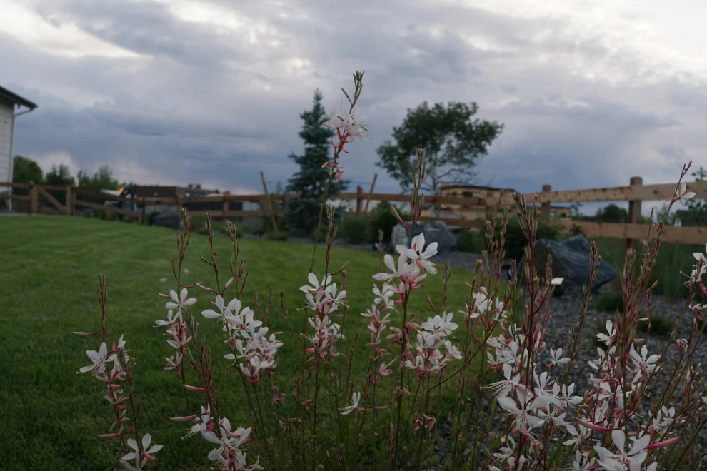 DUKE'S DETAILS by Duke's Landscape Company - Photo 17